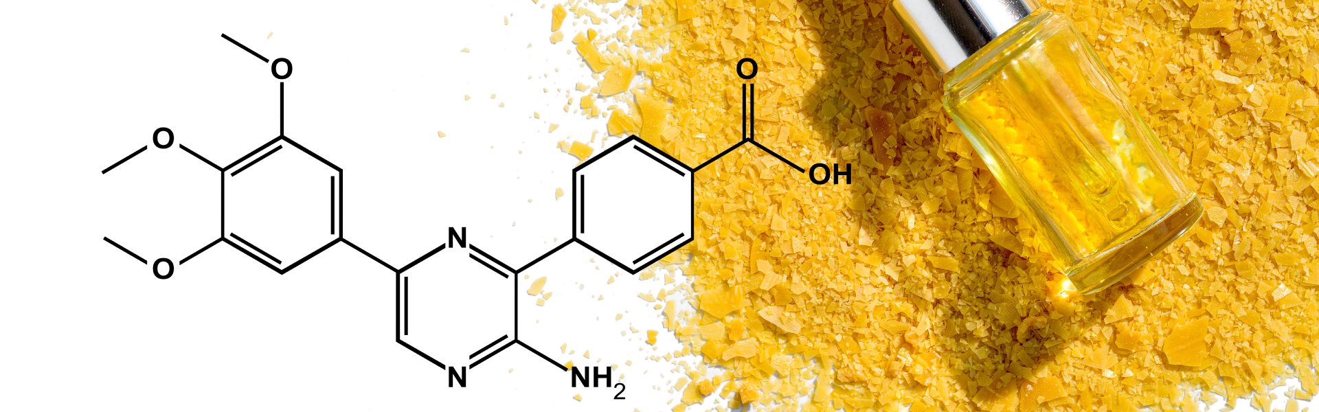 Carnauba wax
